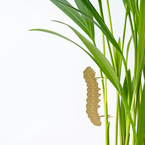 CATERPILLAR - PLANT ANIMAL BY ANOTHER STUDIO