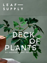 Load image into Gallery viewer, LEAF SUPPLY - DECK OF PLANTS CARE CARDS BY LAUREN CAMILLERI
