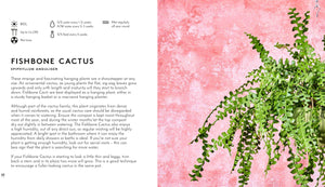 LITTLE BOOK BIG PLANTS - BOOK BY EMMA SIBLEY