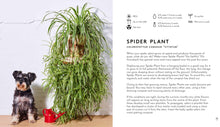 Load image into Gallery viewer, LITTLE BOOK BIG PLANTS - BOOK BY EMMA SIBLEY
