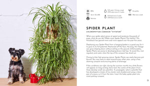 LITTLE BOOK BIG PLANTS - BOOK BY EMMA SIBLEY