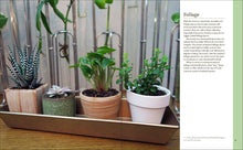 Load image into Gallery viewer, TINY PLANTS - BOOK BY LESLEY F HALLECK

