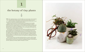 TINY PLANTS - BOOK BY LESLEY F HALLECK